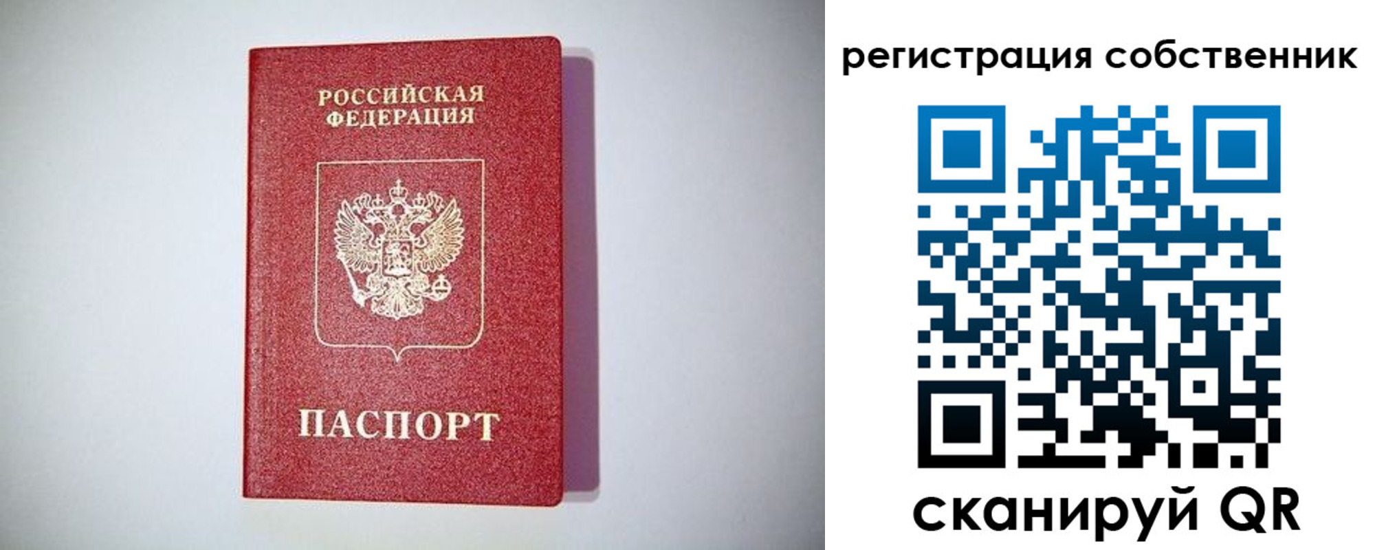 временная регистрация для школы в Снежногорске